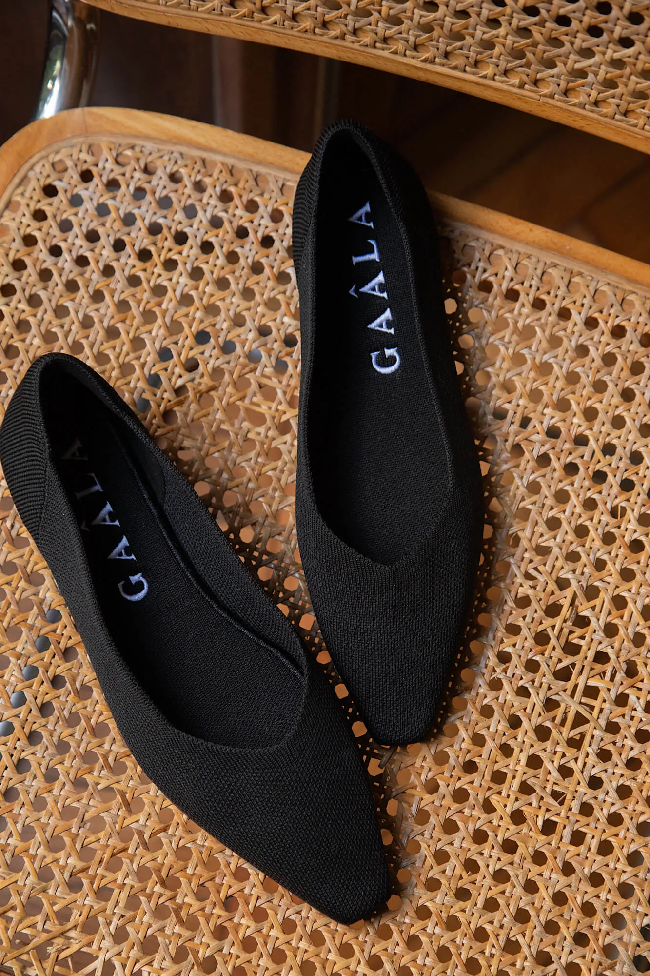 Celine Recycled Ballet Flats